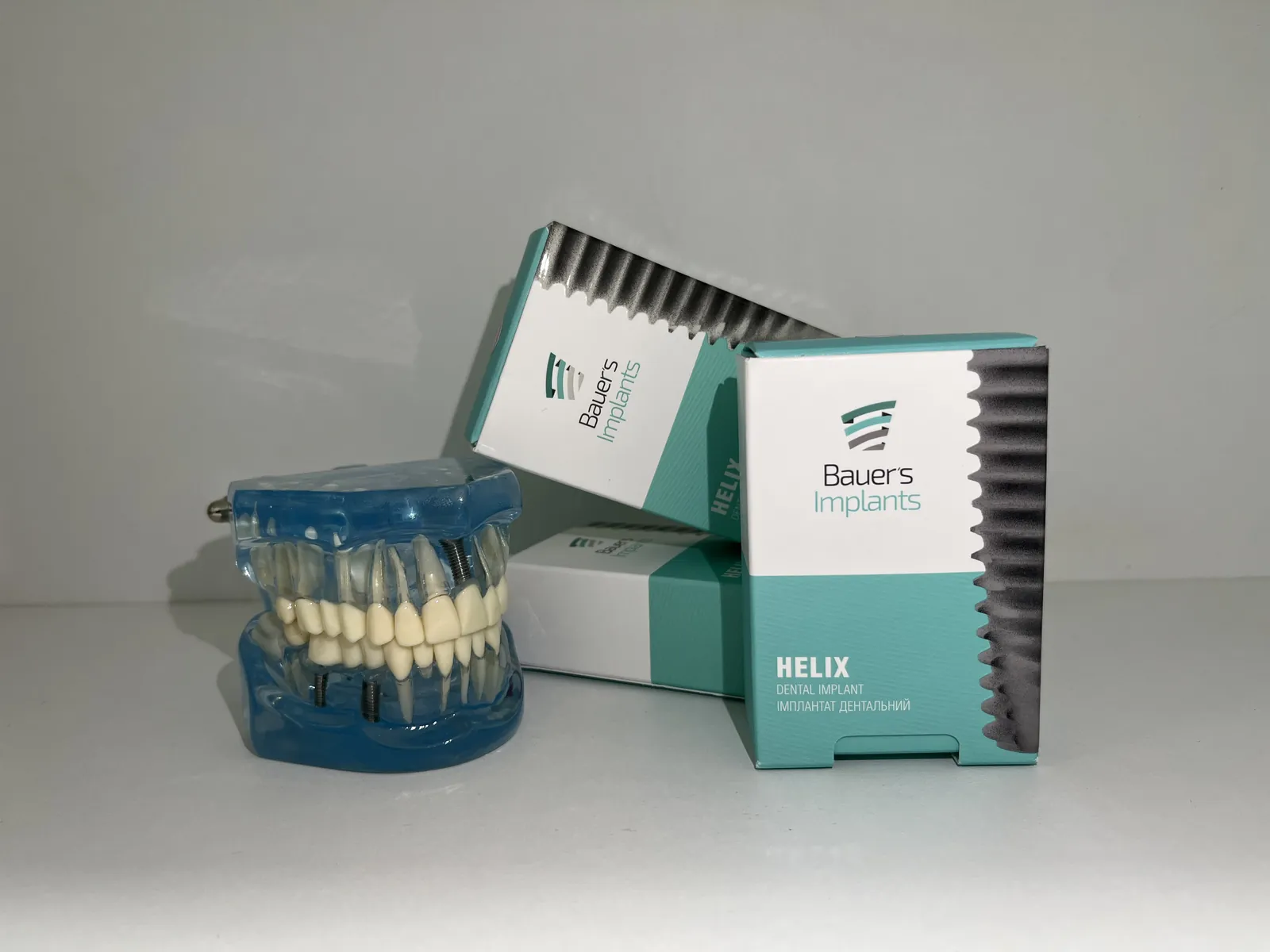 Імпланти Bauers в упаковці та модель щелепи в ArSi Dental
